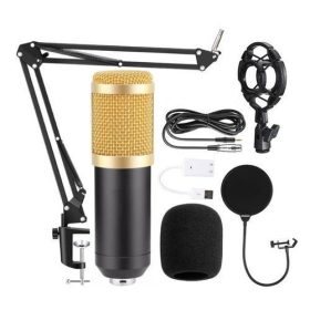 Professional Studio Audio Microphone