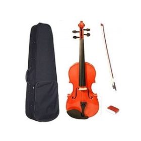 Musical Violin and Accessories