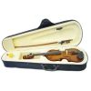 Buy Violin and Accessories