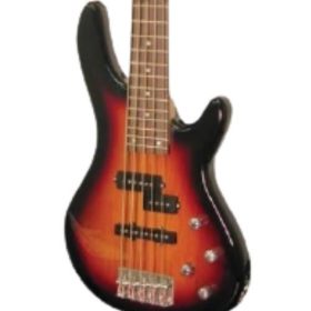 New Bass Electric Guitar 5 strings