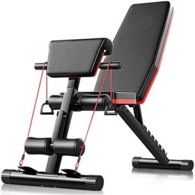 Position Workout Bench