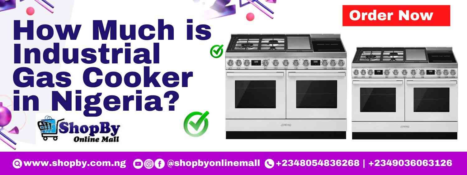 How Much is Industrial Gas Cooker in Nigeria?