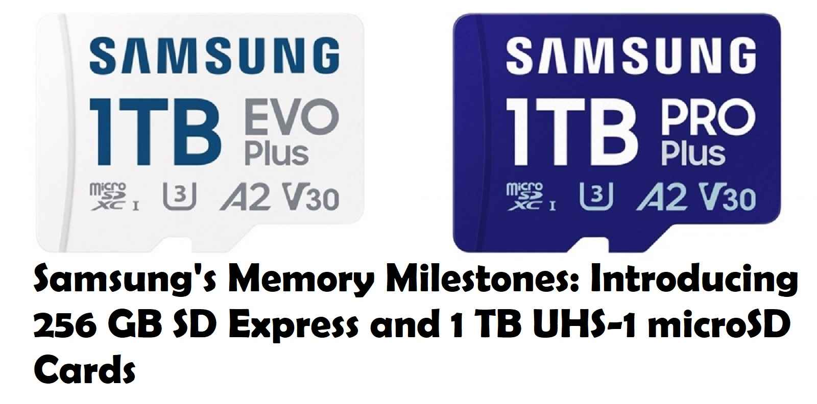 Samsung's Memory 256GB SD Express and 1 TB UHS-1 microSD